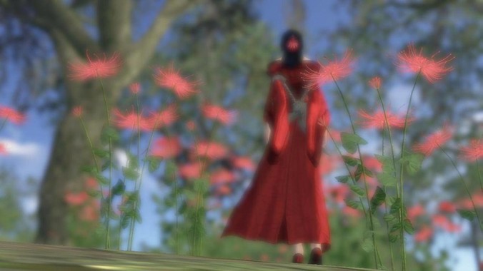 三只羊是不是被人做局了？